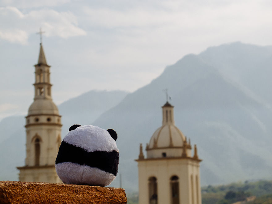 I Take My Pandas With Me On Photographic Adventures