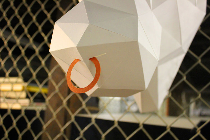 I Make Animal Heads Out Of Paper