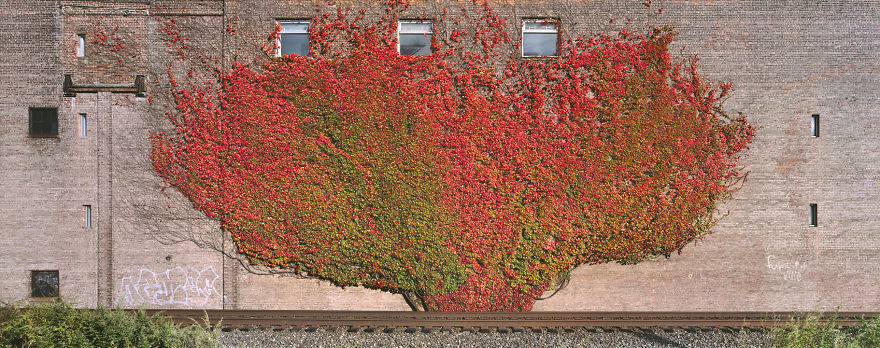 I Photographed American Railroad Landscapes To Show You Their Amazing Surroundings