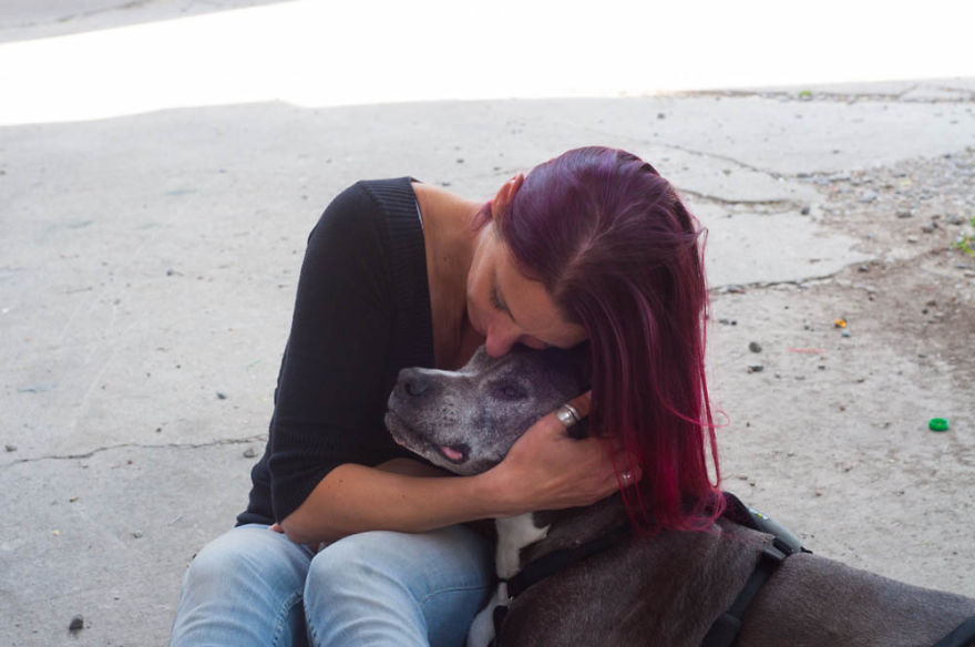 I Photographed Over 200 Families With Rescued Dogs To Inspire Others To Adopt I Photographed Over 200 Families With Rescued Dogs To Inspire Others To Adopt