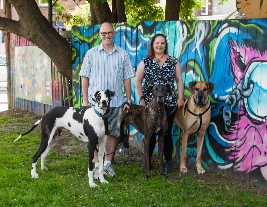 I Photographed Over 200 Families With Rescued Dogs To Inspire Others To Adopt I Photographed Over 200 Families With Rescued Dogs To Inspire Others To Adopt