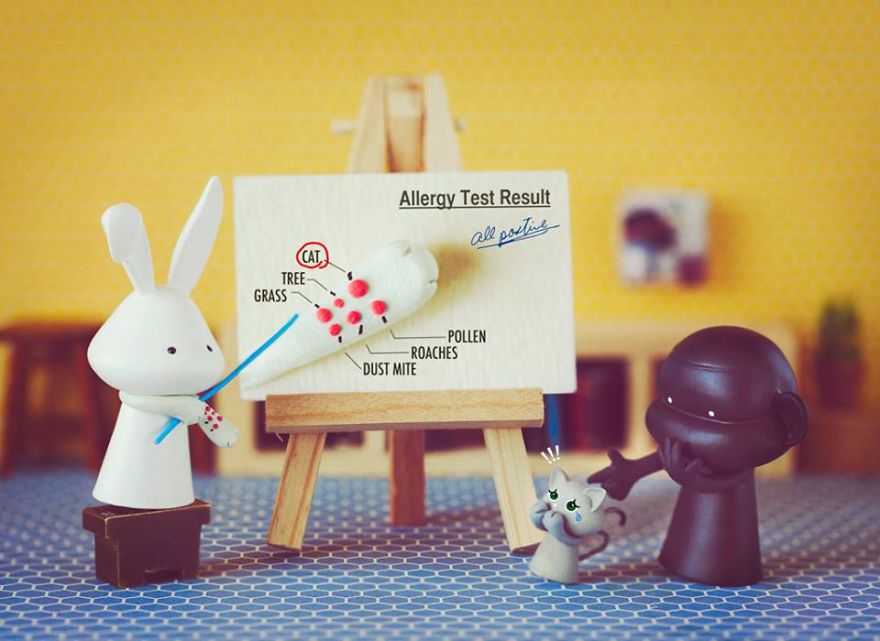 I Recreate Daily Moments Of Married Life With A Monkey And A Rabbit