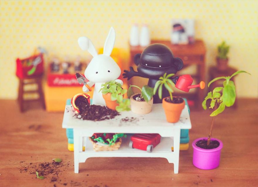 I Recreate Daily Moments Of Married Life With A Monkey And A Rabbit