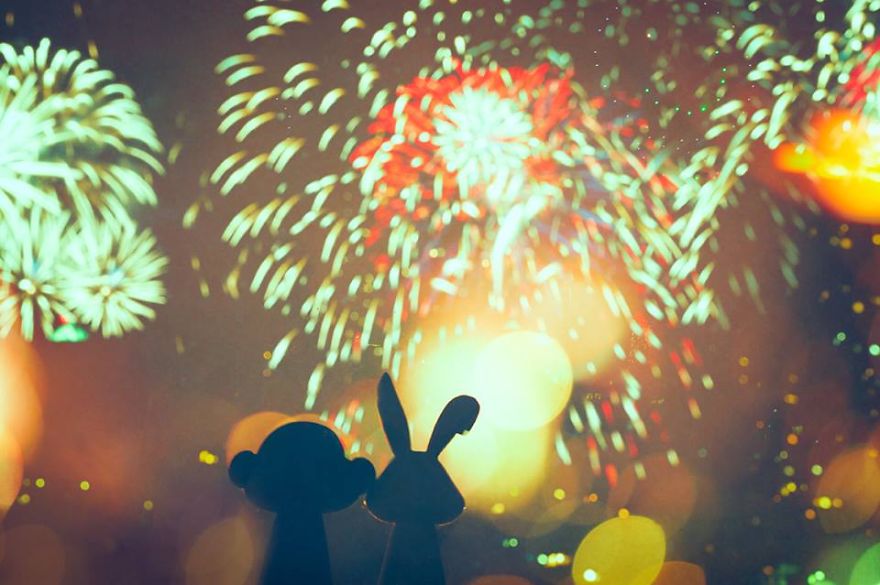 I Recreate Daily Moments Of Married Life With A Monkey And A Rabbit