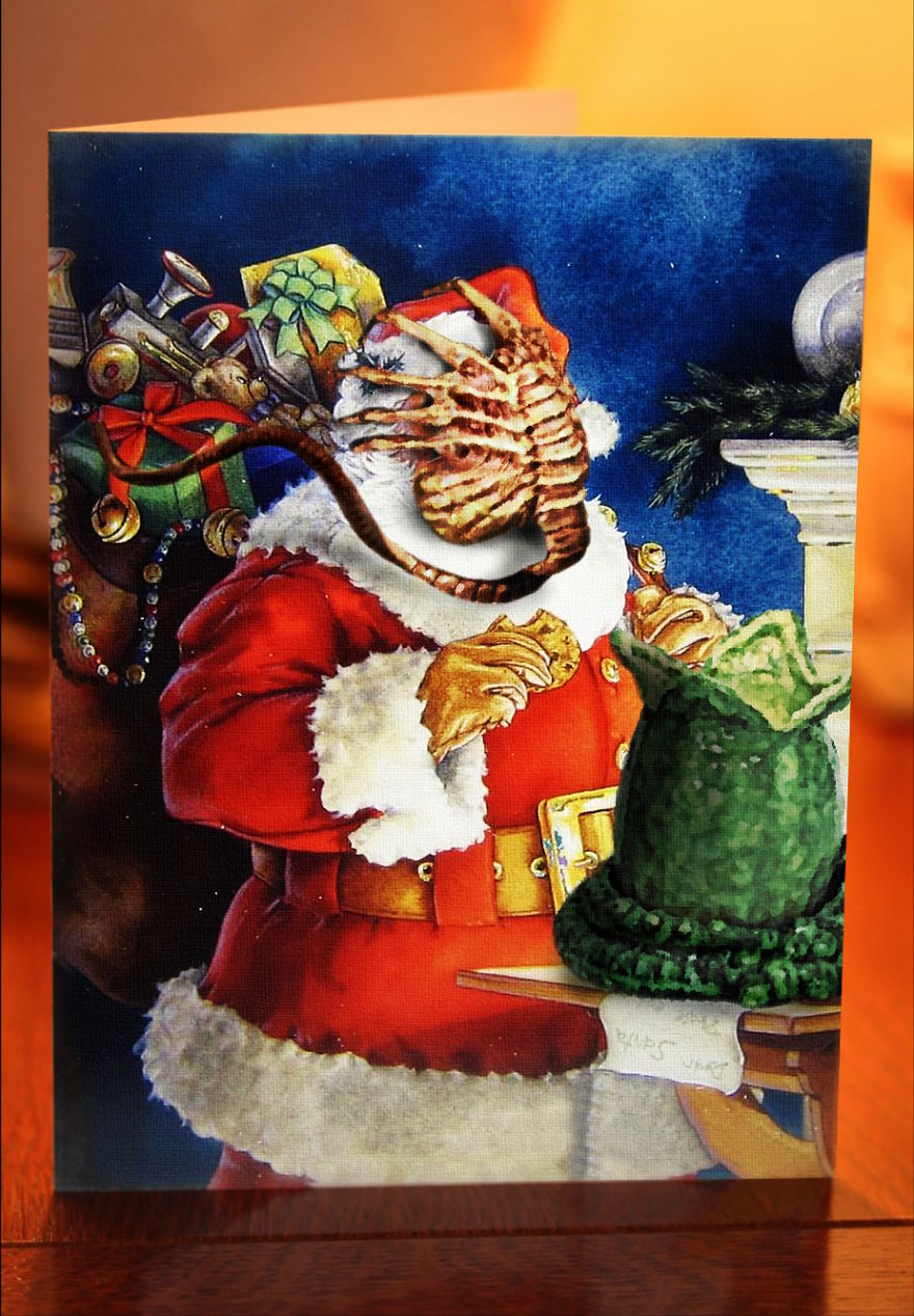 I Spiced Up Holiday Greeting Cards I Spiced Up Holiday Greeting Cards