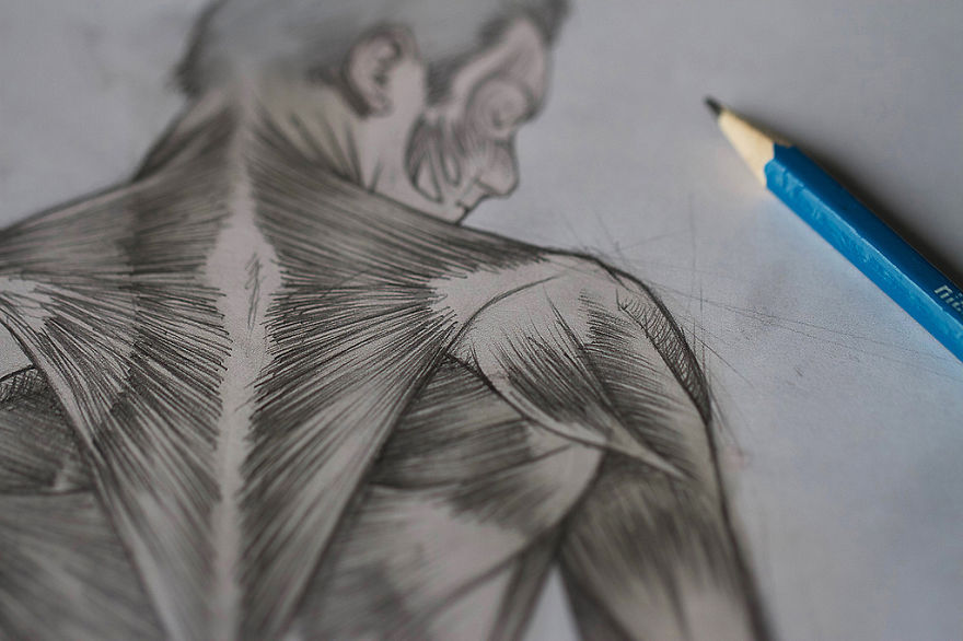 I Study Human Muscles By Drawing Them On My Selfies I Study Human Muscles By Drawing Them On My Selfies