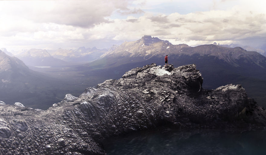 I Photograph Zoo Animals And Turn Them Into Surreal Images