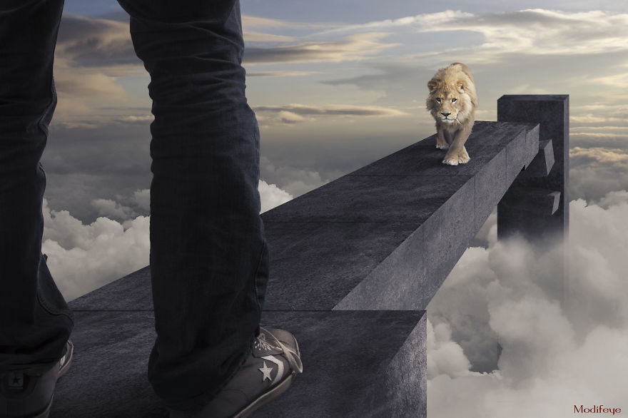 I Photograph Zoo Animals And Turn Them Into Surreal Images I Photograph Zoo Animals And Turn Them Into Surreal Images