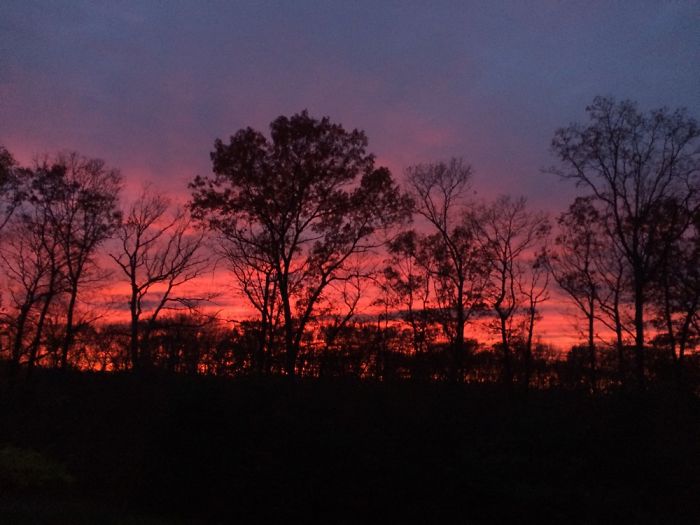 I Took These Pictures Of A Sunset From My Backyard