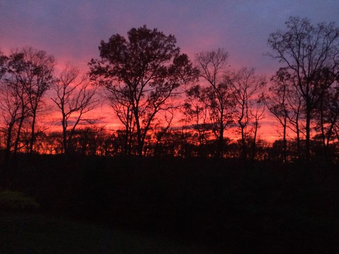 I Took These Pictures Of A Sunset From My Backyard