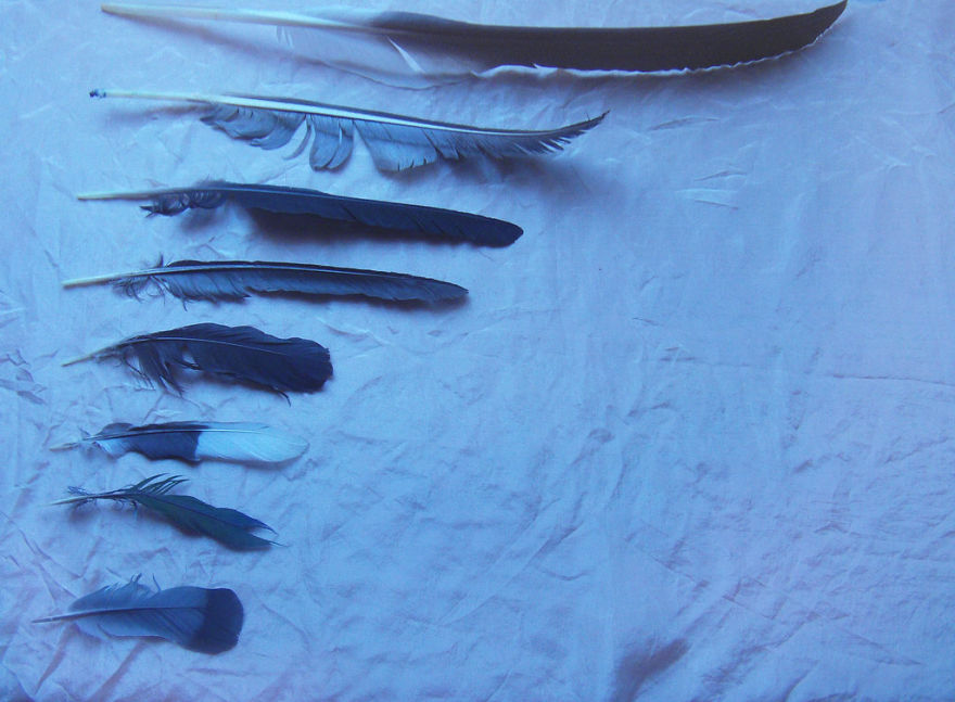 I Use My Photographs To Describe Human Vulnerability And Depression