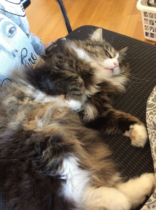 Toulouse From Norway