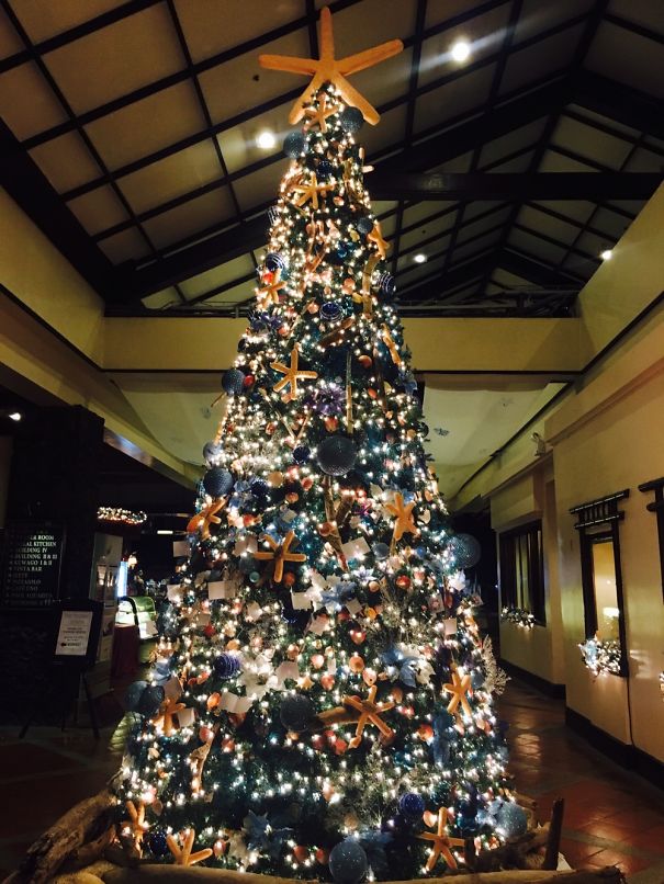 For The Marine Biologists