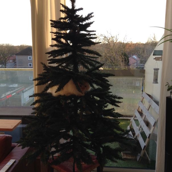 You Don't Need Any More Decoration