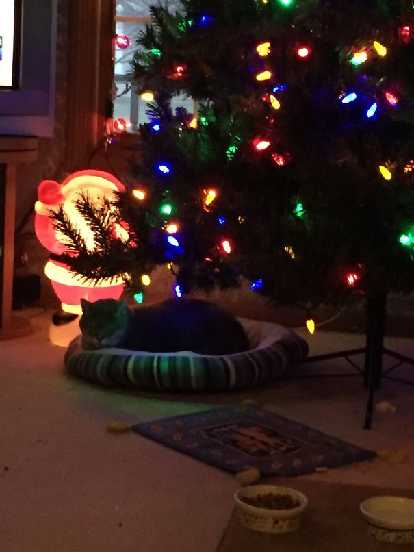 Best Place To Sleep!