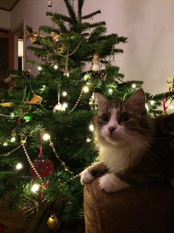 I Sitz Here, For The Moment