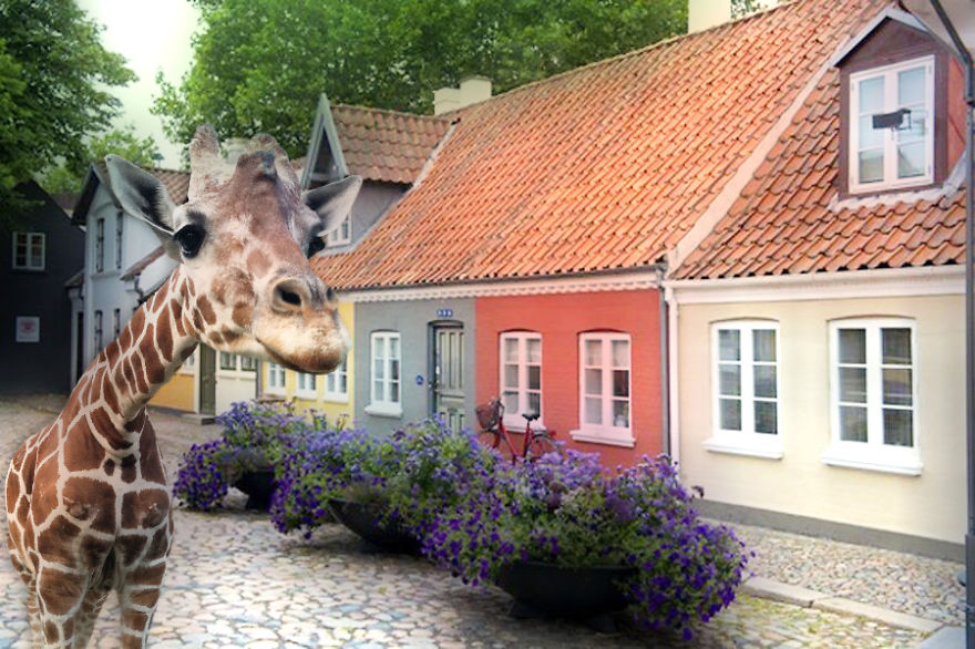 Once Upon A Time In The City Of Hans Christian Andersen, Odense, Denmark