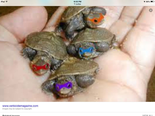 Teenage Mutant Ninja Turtles1