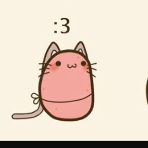 lidialonergan avatar