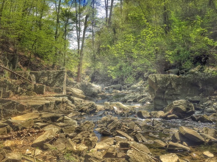 Beautiful Wooded Falls Of Great Falls, Va