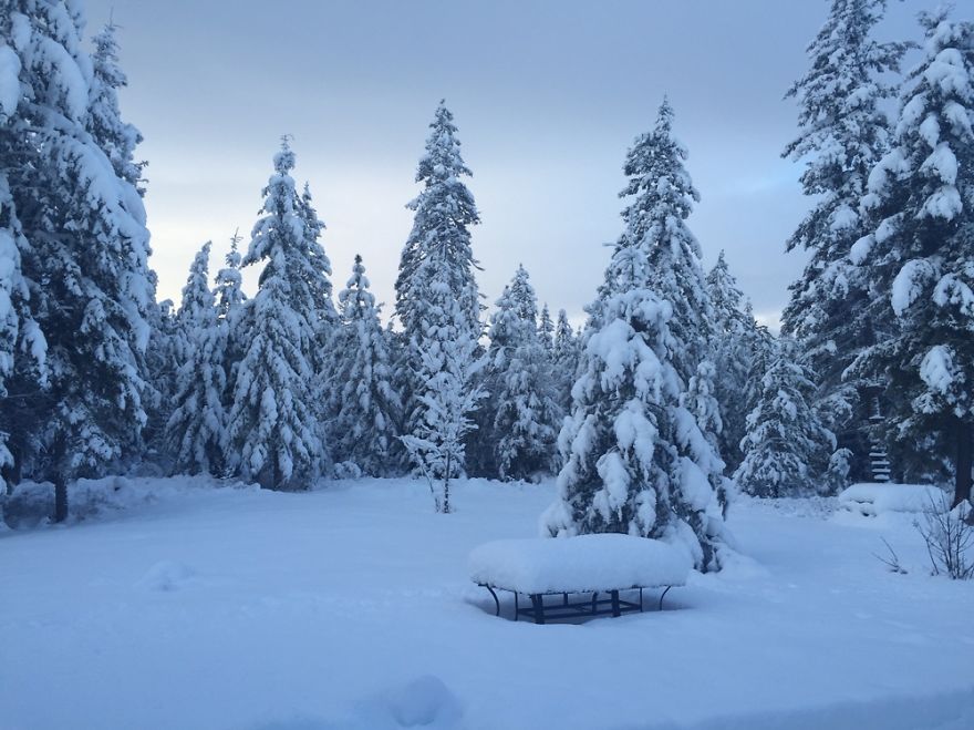 My Backyard In A North Idaho