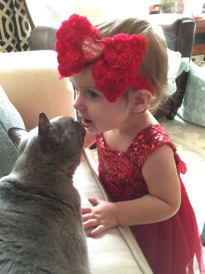 Leila Kissing Ito, Our Cat.