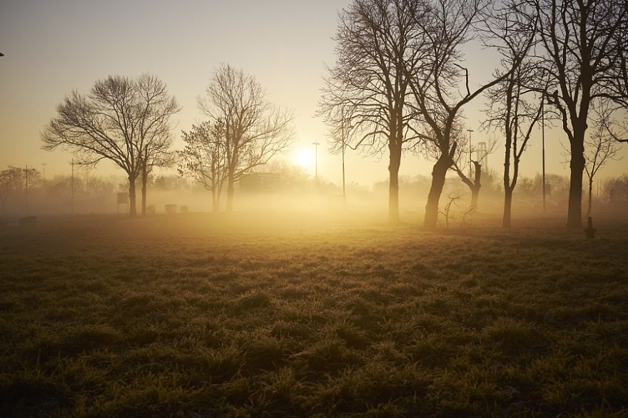 Misty Morning, Belgrade, Serbia