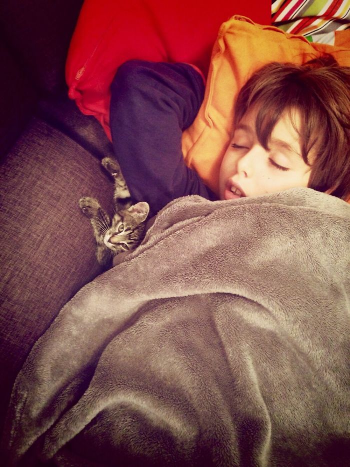 Jacopo And Gateau, A Blanket For Two.