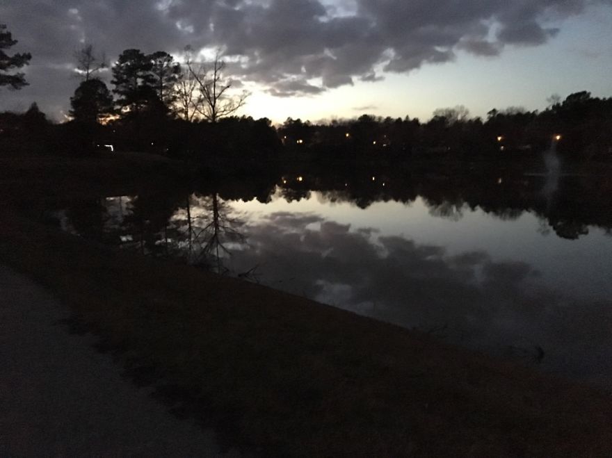 Reflections On A Pond