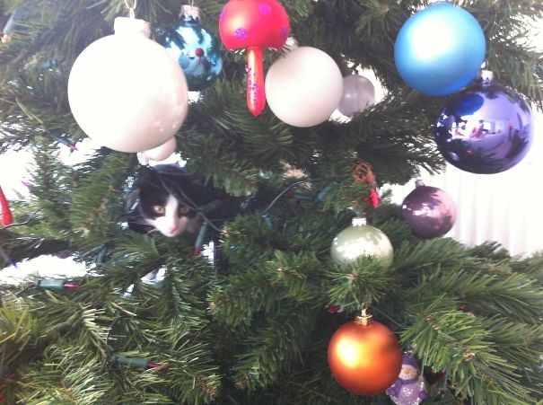 Being Christmas Decoration