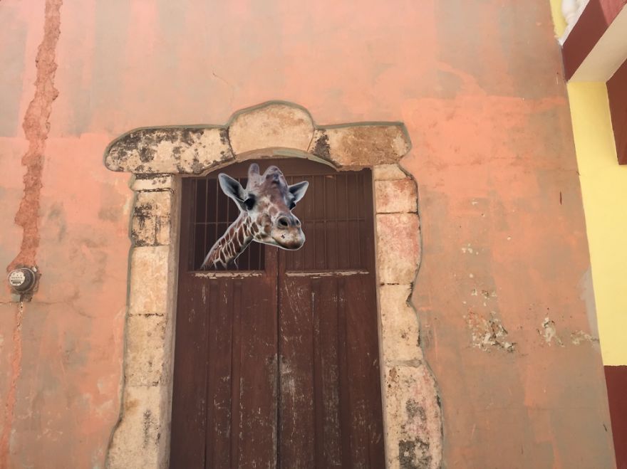 Exploring The Yucatan, Mexico. Seemed To Have Got Locked Up Again.