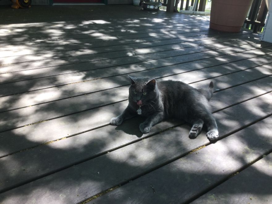 Soaking Up The Sun! ☀️