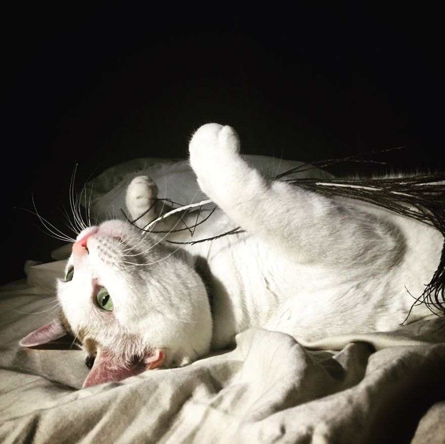 Lili - Bc Photography