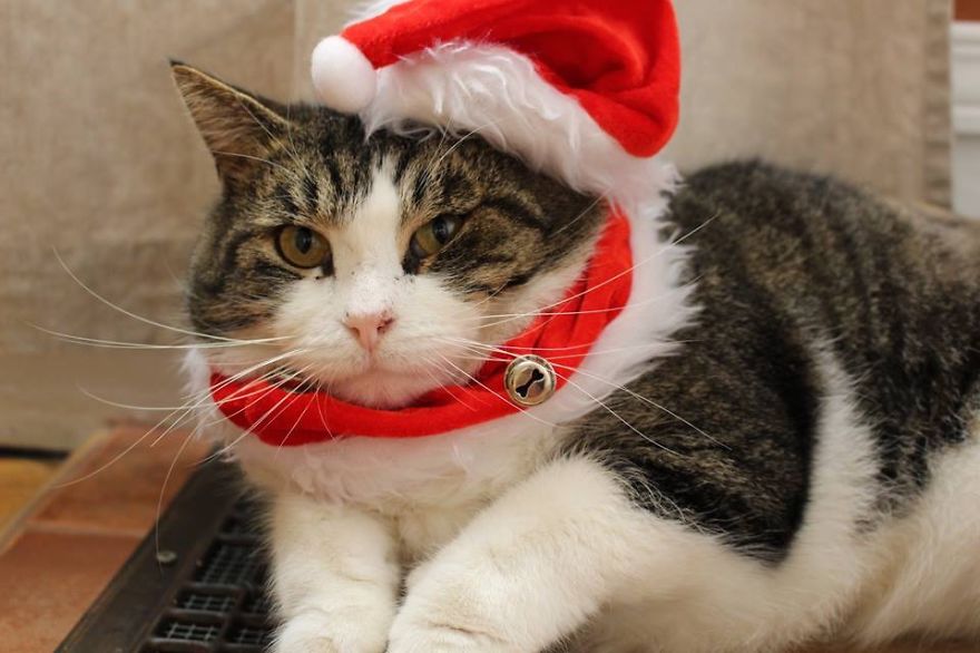 "i Look Uncomfortable, But I'm Not. Really!" Buçko.