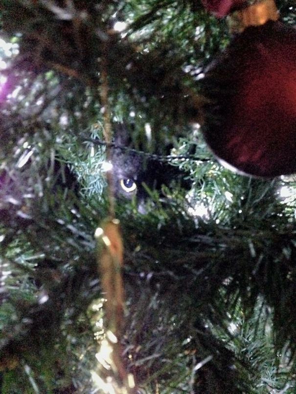 What Do You Mean You Can See Me?