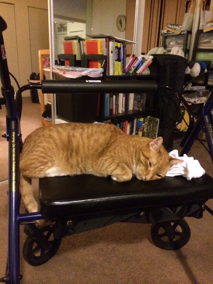 Don't Leave Without Me!