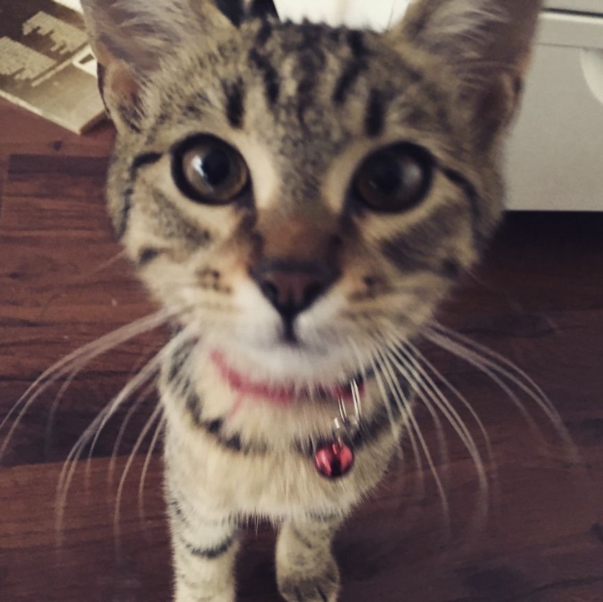 Are You Looking At Me?