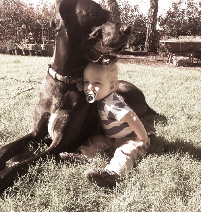 Charlie And His Dog, Dexter