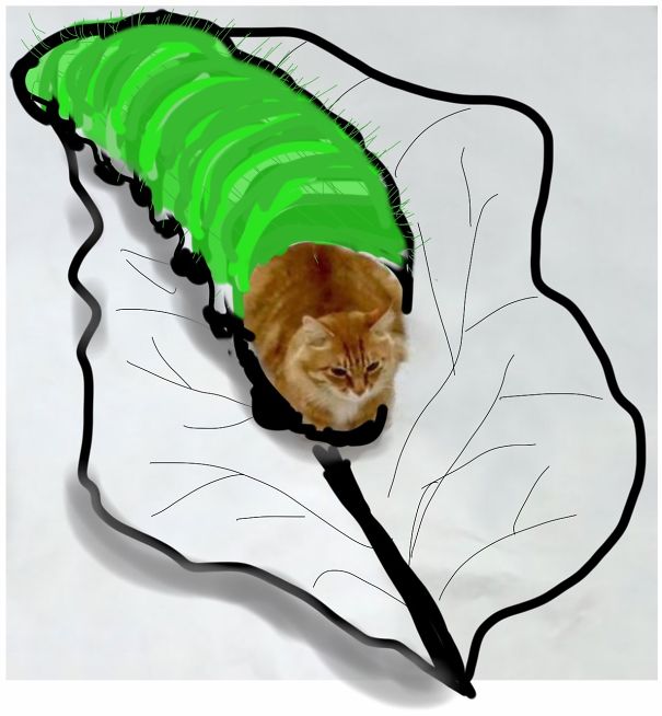 Caterpiller