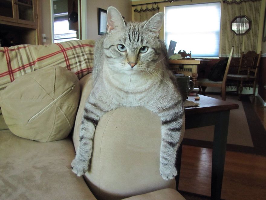 I Don't Get Out Of Bed For Less Than $10,000 A Day.