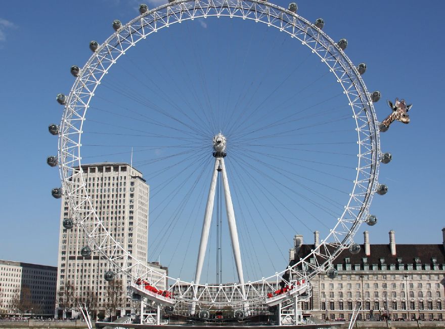 Visiting London Eye, London, Uk.