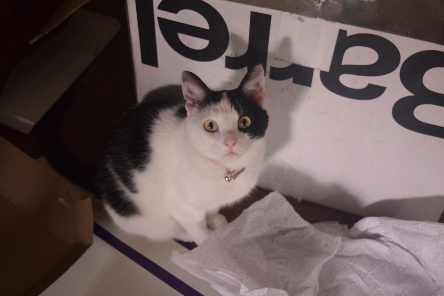 Kinsley Opening Wedding Gifts