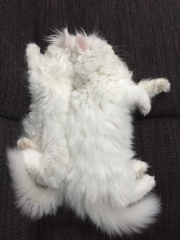 Sóphie & Jack Back To Back