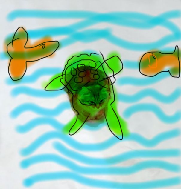Turtlecat. Made By Child 10 Years.