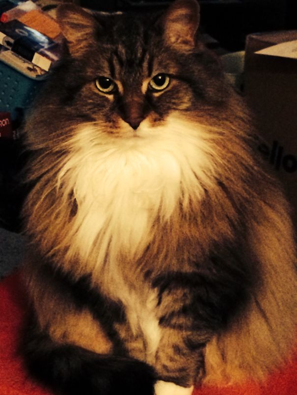 What Are You Looking At?