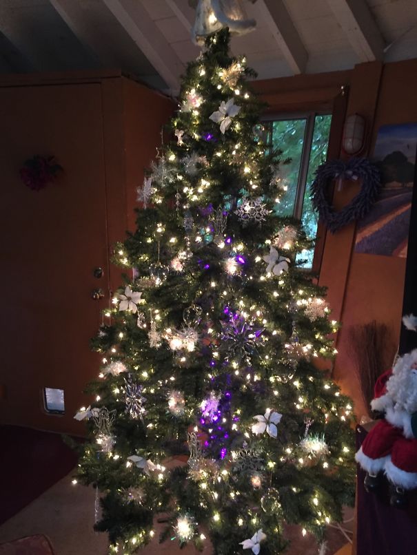 Tress With White Poinsettias