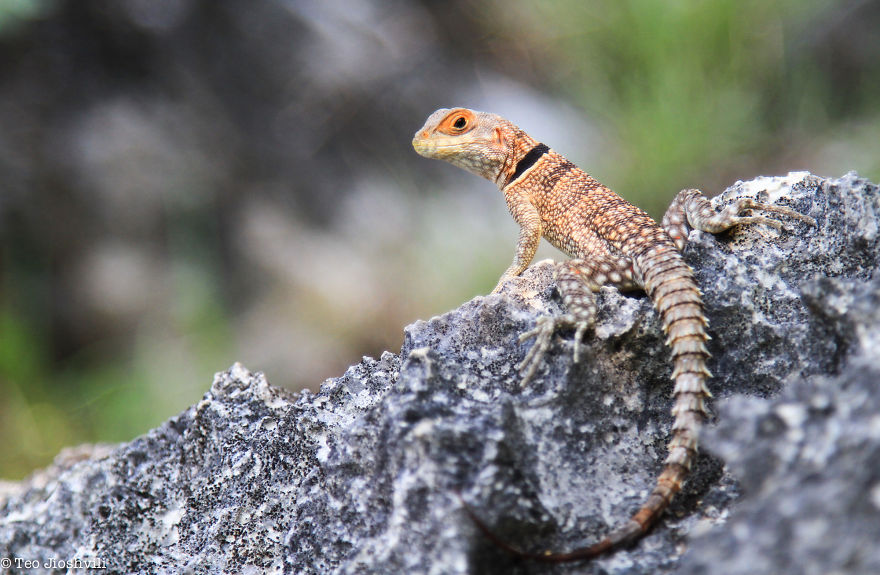 Incredible Madagascar Or The Trip That Left Me Speechless Incredible Madagascar Or The Trip That Left Me Speechless