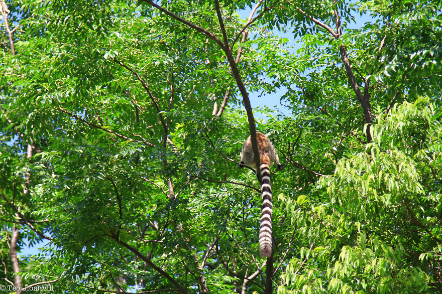 Incredible Madagascar Or The Trip That Left Me Speechless