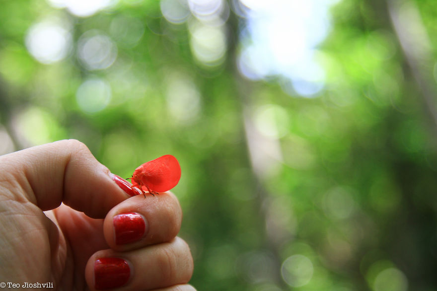 Incredible Madagascar Or The Trip That Left Me Speechless Incredible Madagascar Or The Trip That Left Me Speechless