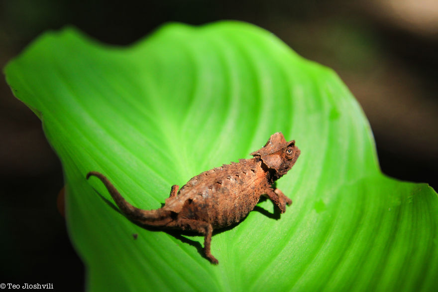 Incredible Madagascar Or The Trip That Left Me Speechless Incredible Madagascar Or The Trip That Left Me Speechless